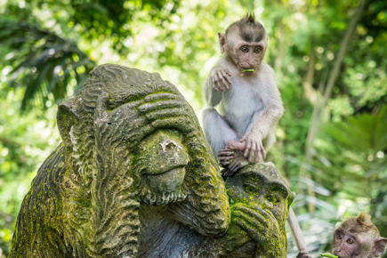 bali-natureza-mistica-14_0.png