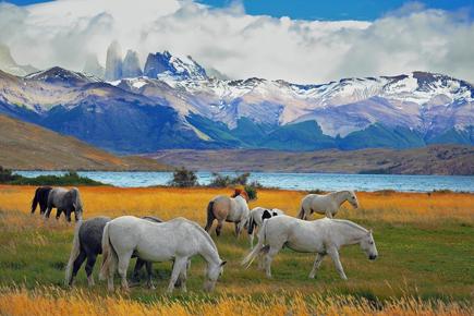 desertos-e-glaciares-306_0.jpg